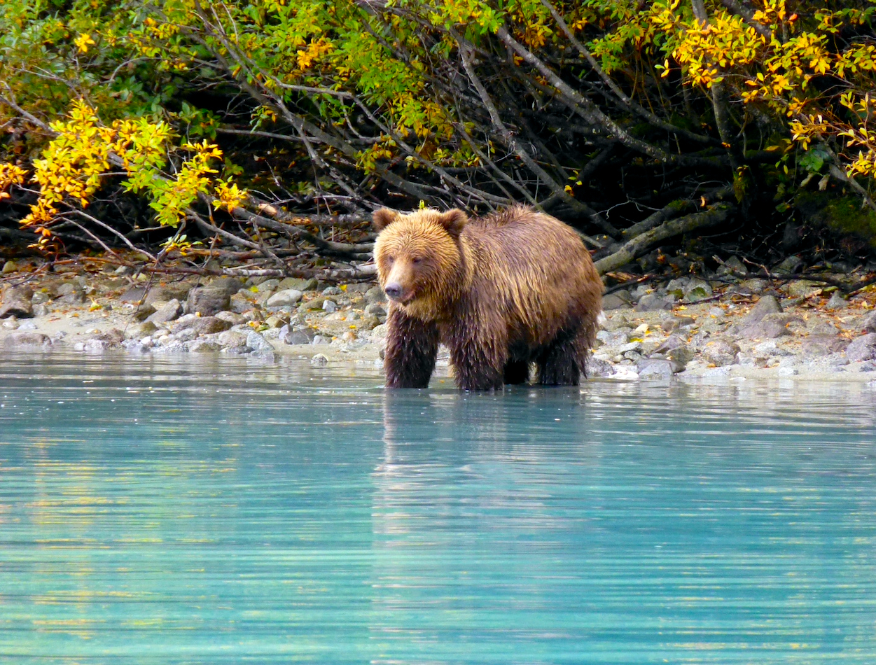 ALASKA (USA)